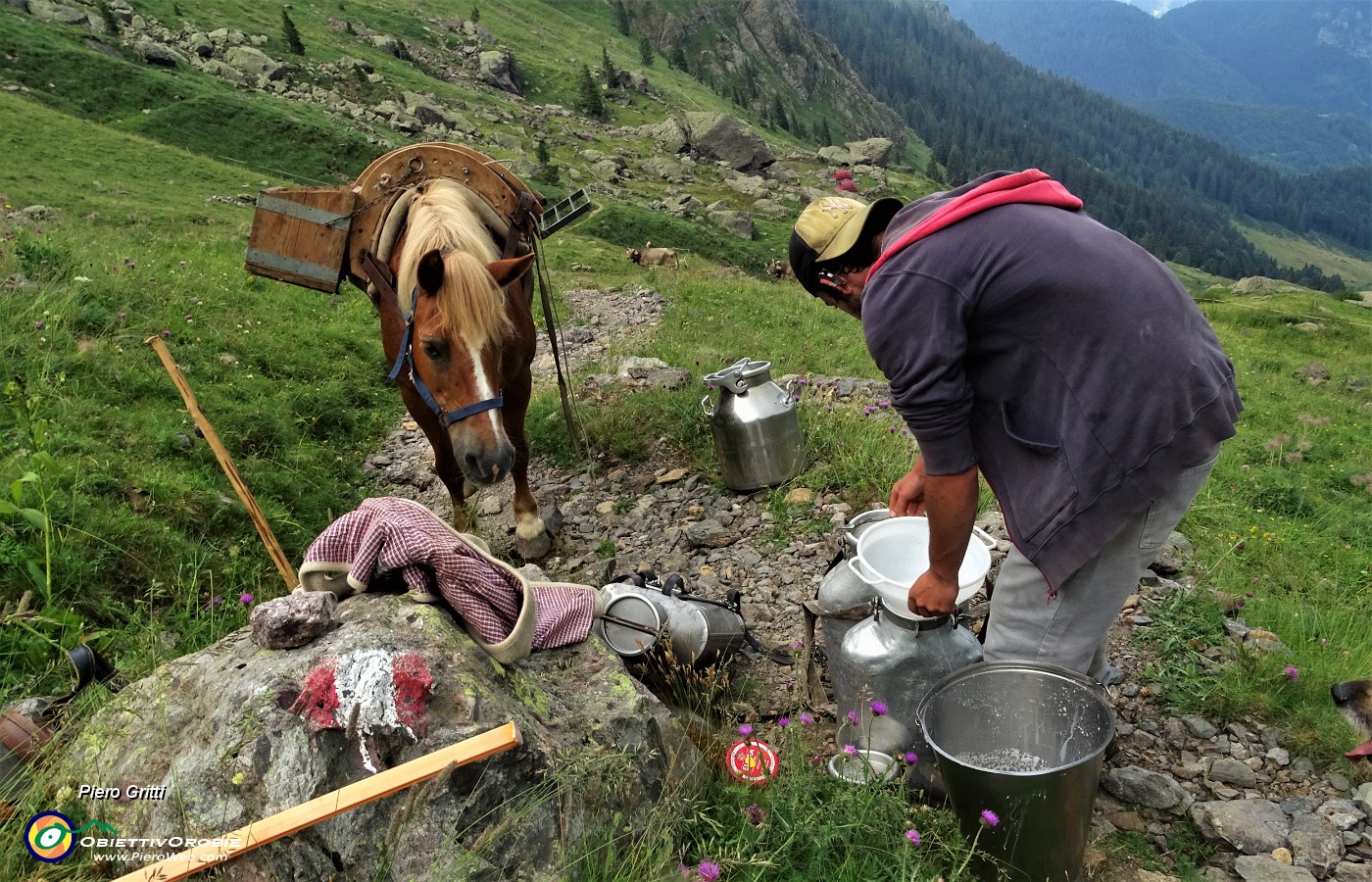 91 Il latte viene traspotato con il cavallo .JPG